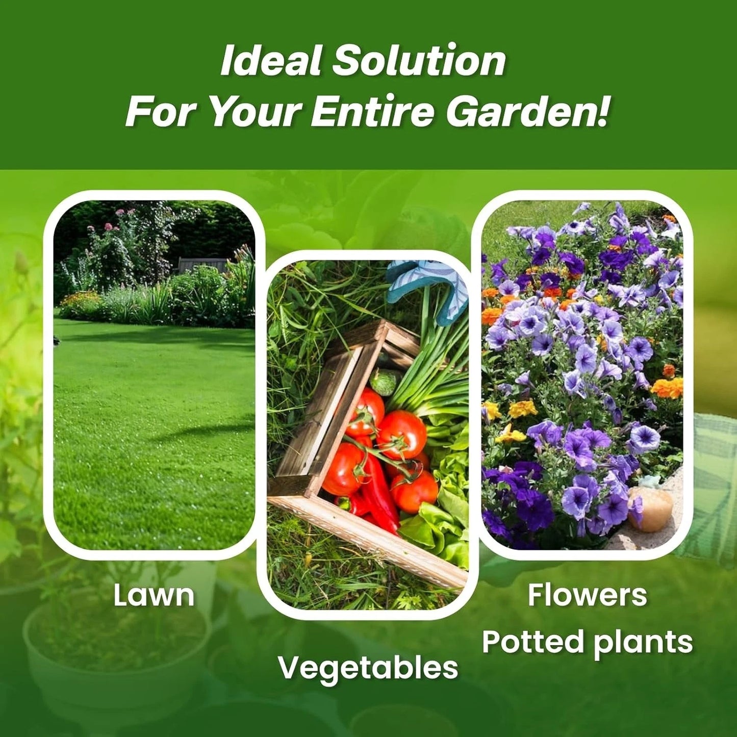 Soil Activator with Humic Acid for Strong Roots & Healthy Plants