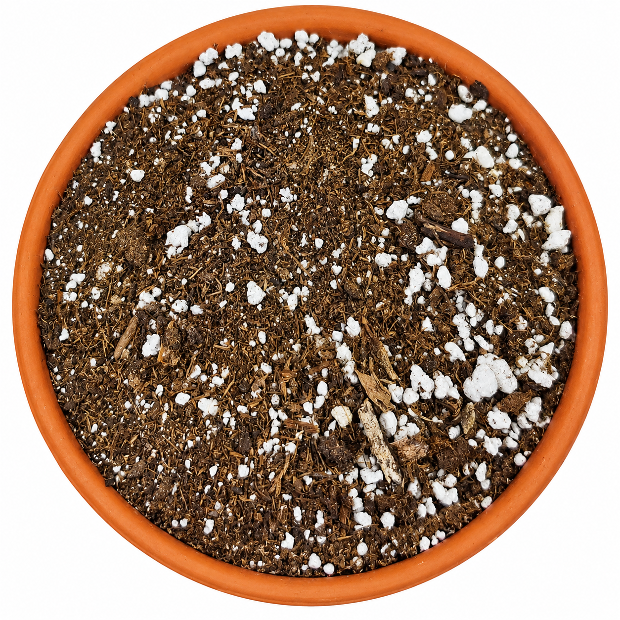 Succulent & Cactus Potting Soil Mix with Peat Moss & Perlite
