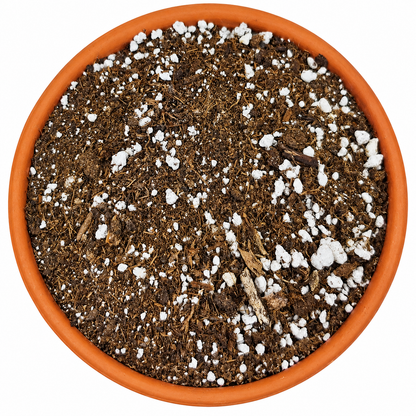 Succulent & Cactus Potting Soil Mix with Peat Moss & Perlite