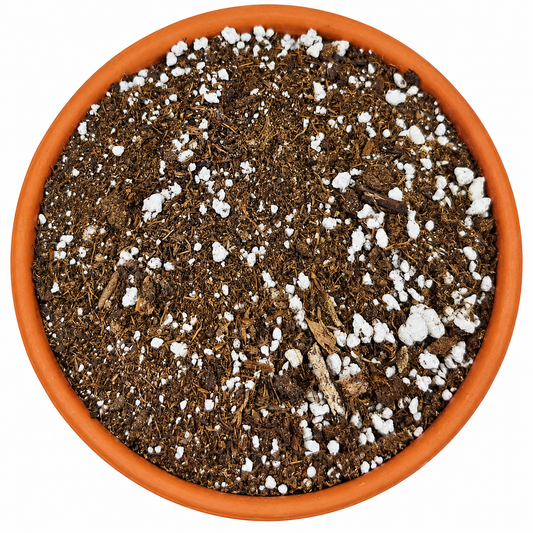 Succulent & Cactus Potting Soil Mix with Peat Moss & Perlite