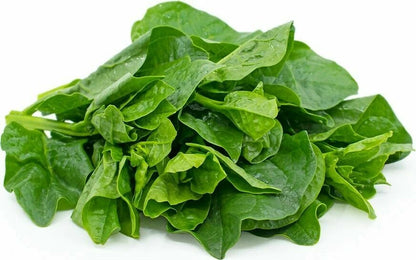 Green Malabar Spinach Seeds – Heirloom Non-GMO Ceylon Vine Spinach
