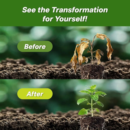 Soil Activator with Humic Acid for Strong Roots & Healthy Plants