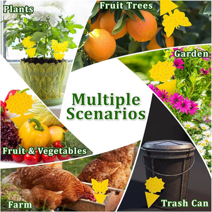 48PCS Sticky Fruit Fly Traps for Indoor Outdoor Plants & Fungus Gnats
