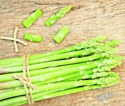 Mary Washington Asparagus Seeds – Heirloom Perennial Garden Vegetable