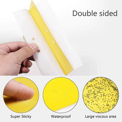 20PCS Yellow Sticky Fly Traps for Indoor Outdoor Plants & Flying Pests