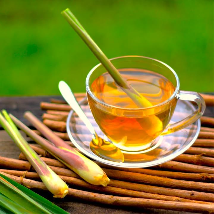 Lemongrass Seeds – Heirloom for Cooking, Tea & Home Gardens