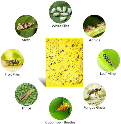 20PCS Yellow Sticky Fly Traps for Indoor Outdoor Plants & Flying Pests