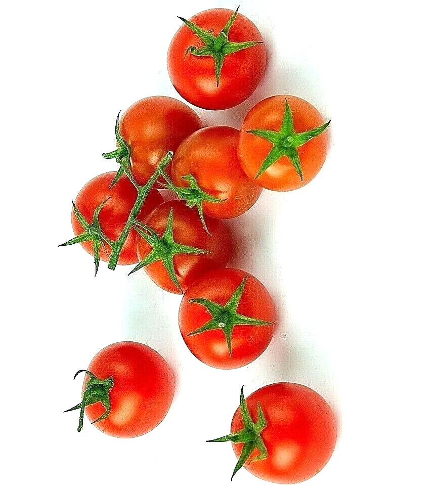 Super Sweet Cherry Tomato Seeds – Heirloom Non-GMO for Vegetable Gardens