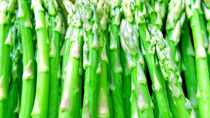 Mary Washington Asparagus Seeds – Heirloom Perennial Garden Vegetable