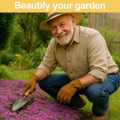 Purple Creeping Thyme Seeds – Perennial Ground Cover for Sunny Gardens