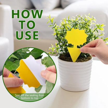48PCS Sticky Fruit Fly Traps for Indoor Outdoor Plants & Fungus Gnats