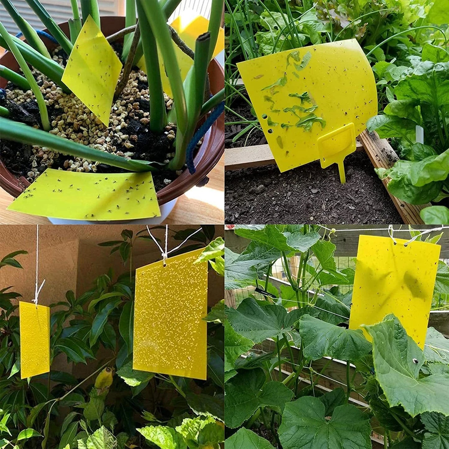 20PCS Yellow Sticky Fly Traps for Indoor Outdoor Plants & Flying Pests
