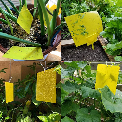 20PCS Yellow Sticky Fly Traps for Indoor Outdoor Plants & Flying Pests