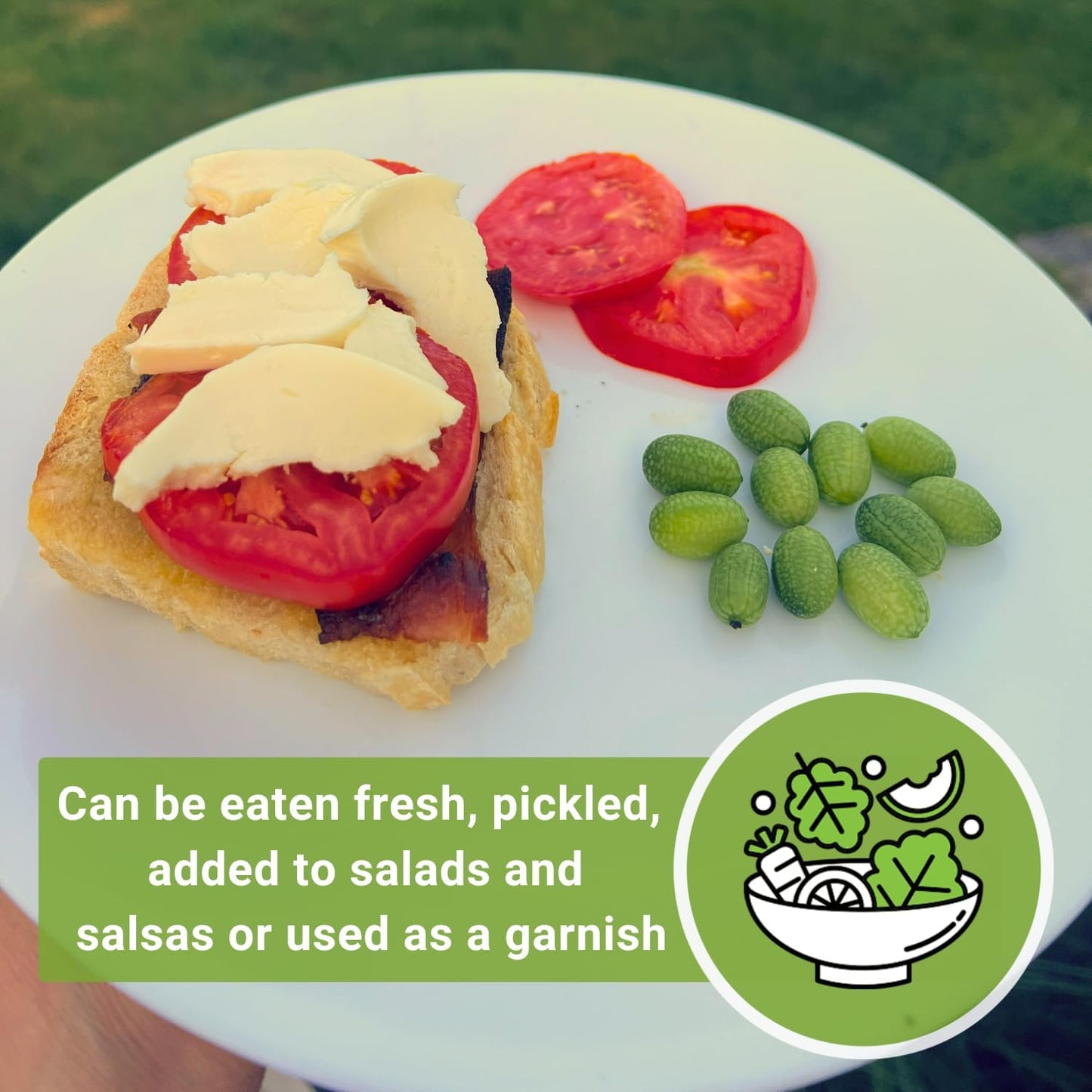 Cucamelon Seeds – Heirloom Mexican Sour Gherkin for Home Gardens