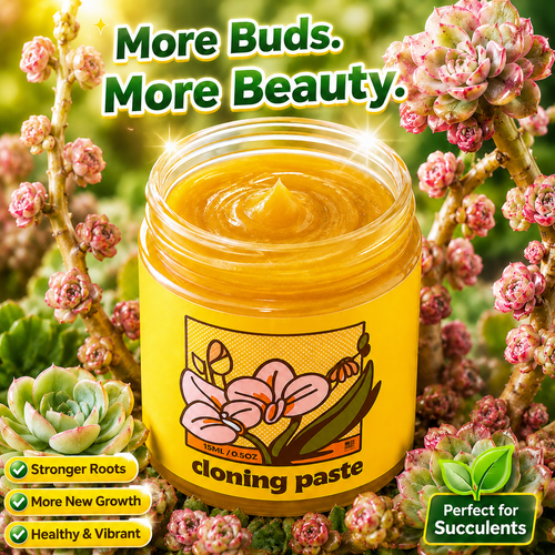 Succulent Growth Paste – Stem Bud Activator for Echeveria & More