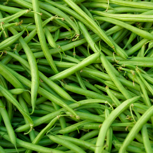 Ideal Market Bean (Pole)